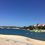 Daire Narzissa